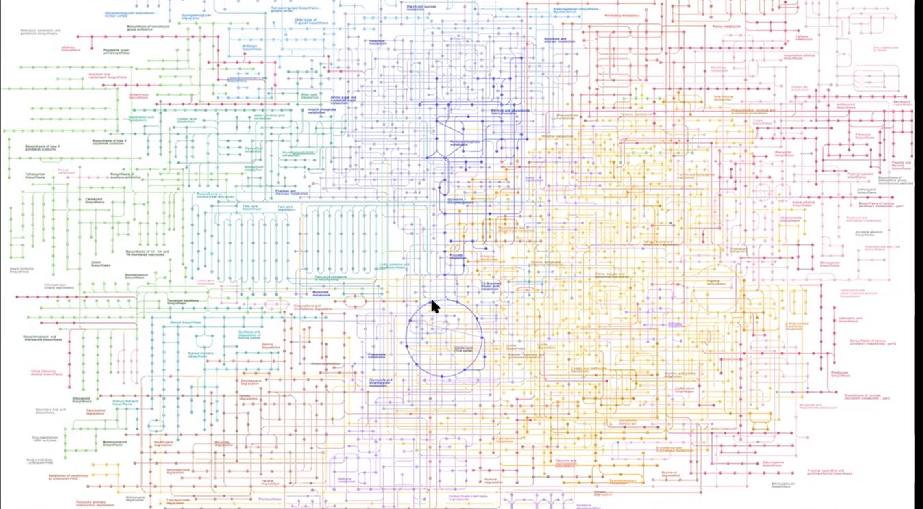 KEGG PATHWAY Database